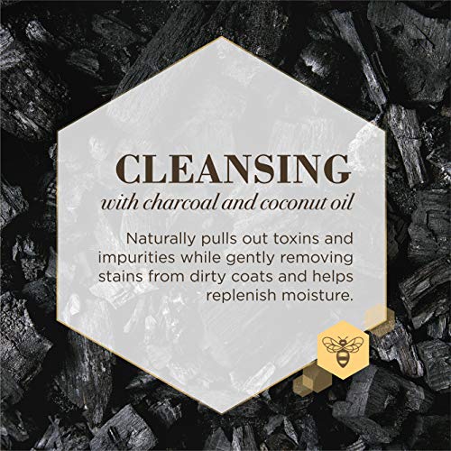 Buy now Burt's Bees for Pets Care Plus+ Naturally Derived Deep Cleansing Charcoal & Coconut Oil Shampoo - Dog Shampoo to Naturally Derivedly Purify and Replenish Dog's Skin & Coat - Made in USA, 16 Oz at indiglob india