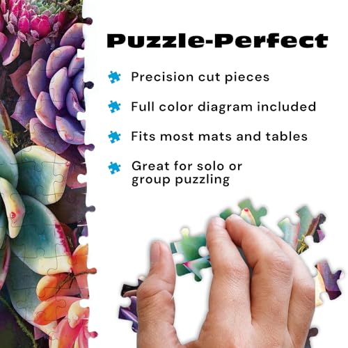 Buy now Buffalo Games - Simple Succulent - James Mertke - 1000 Piece Jigsaw Puzzle for Adults - Challenging Puzzle for Game Nights - Vibrant Plant Artwork - Finished Size 26.75 x 19.75 - Made in the USA at indiglob india