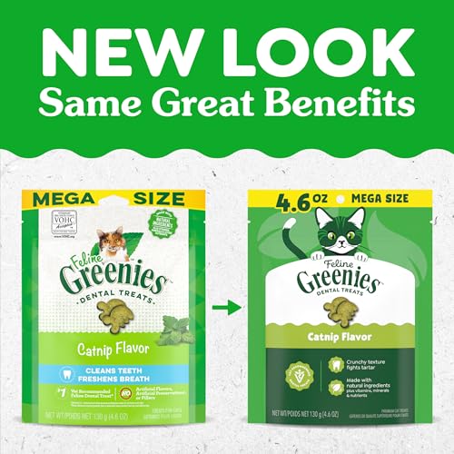 Buy now Greenies Feline Veterinarian-Recommended Adult Natural Dental Cat Treats, Catnip Flavor, 21 oz. Tub at indiglob india