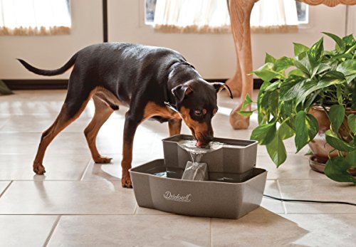 Buy now PetSafe Drinkwell Multi-Tier Pet Fountain - Encourages Hydration for Cats & Dogs - Large-Capacity Waterer - Double Tier - Filtered Fountain with Carbon Filter - 100 oz Water Capacity at indiglob india