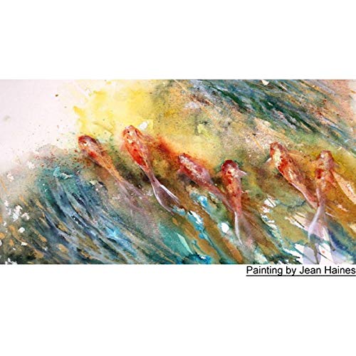 Buy now DANIEL SMITH Watercolor, 5ml tubes, Jean Haines All That Shimmers Set 6 Watercolor Tubes (total 6 pieces) 285610375, 0.17 Fl Oz (Pack of 6) at indiglob india