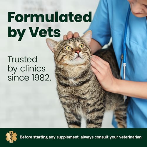 Buy now VetriScience Healthy Hip & Joint Chews, GlycoFlex Glucosamine and Green-Lipped Mussel Joint Support Supplement for Cats, Promote Mobility and Protect Joints, Chicken, 60 Count at indiglob india