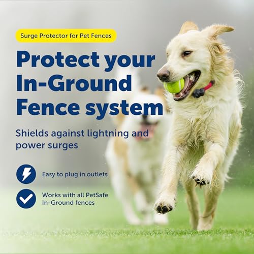 Buy now PetSafe Surge Protector for Pet Fences - Surge Protection Device - Electrical Protector - Durable Pet Fence Kit - Easy Installation - Fence Guard for Dogs - Outdoor Training Tool at indiglob india