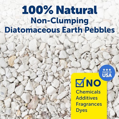 Buy now PetSafe ScoopFree Premium Natural Cat Litter - Eco-Friendly Long-Lasting Litter - High Absorbency & Low-Tracking Design - Non-Clumping Pebbles - 4.2 lb Bag - 2 Pack at indiglob india