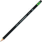 Ticonderoga Wood-Cased Pencils, Unsharpened, #2 HB Soft, Black, 12 Count