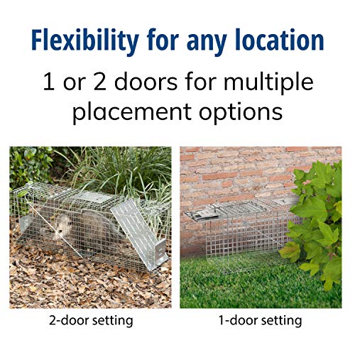 Buy now Havahart Large 2 Door Humane Catch and Release Live Animal Trap for Armadillos, Beavers, Bobcats, Small Dogs, Cats, Foxes, Groundhogs, Nutria, Opossums, Raccoons, Live Catch Trap for Stray Dogs 1045SR at indiglob india