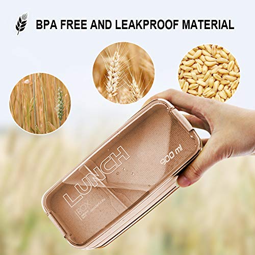 Buy now Iteryn Bento Adults Lunch Box, Stackable Bento Box, 3-In-1 Compartment - Wheat Straw, Leakproof Bento Lunch Box Meal Prep Containers at indiglob india