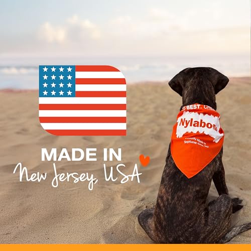 Buy now Nylabone Original Bone Flexi Chew Toy for Dogs, Flexible Dog Toys for Moderate Chewers, Chicken Flavor, Large/Giant, 1 Count at indiglob india