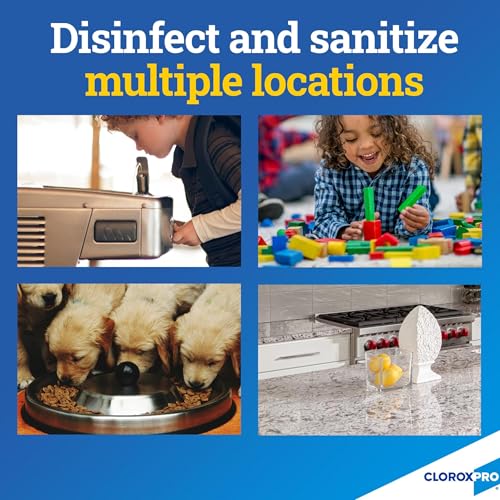 Buy now CloroxPro Anywhere Daily Disinfectant and Sanitizer, No-Rinse Food Contact Sanitizer, 32 Fluid Ounces, Pack of 12 at indiglob india