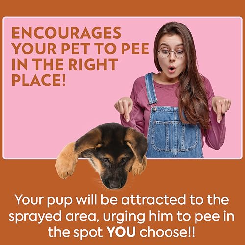 Buy now OUT! PetCare Go Here Attractant Dog and Puppy Potty Training Spray, Safe & Effective Puppy Pee Spray, Dog Housebreaking Supplies, Indoor and Outdoor House Training Tool, 32 oz at indiglob india