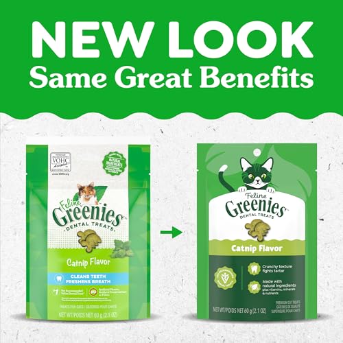 Buy now Greenies Feline Veterinarian-Recommended Adult Natural Dental Cat Treats, Catnip Flavor, 21 oz. Tub at indiglob india