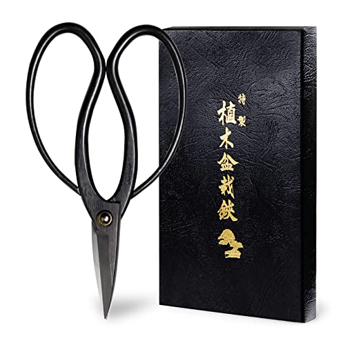 Buy now Wazakura Bonsai Scissors MADE IN JAPAN 7inch(180mm), Japanese Bonsai Garden Tools, Hasami Pruning Shears at indiglob india