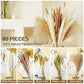 Buy now Seniny Pampas Grass, 80 Pcs Dried Pampas Grass Decor Tall 17", Natural Brown & White Pompous Grass | Bunny Tails Dried Flowers | Wheat Stalks | Reed for Boho Home Wedding Decor, Flower Arrangement at indiglob india