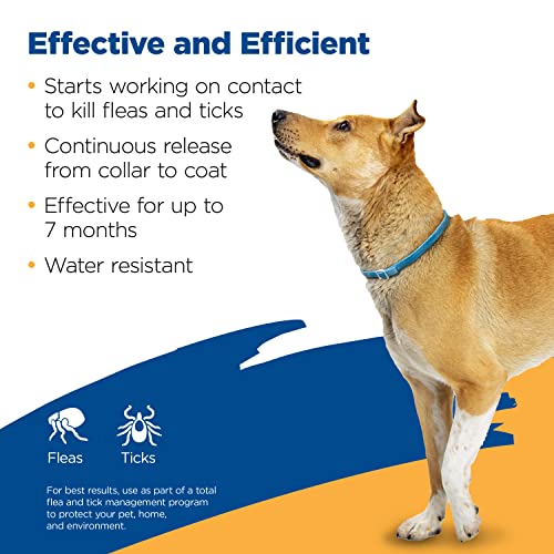 Buy now Zodiac Flea and Tick Collar for Large Dogs at indiglob india