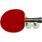 Butterfly Wakaba Shakehand Table Tennis Racket | Japan Series | Outstanding Control with Reliable Speed and Spin | Recommended for Beginning Level Players