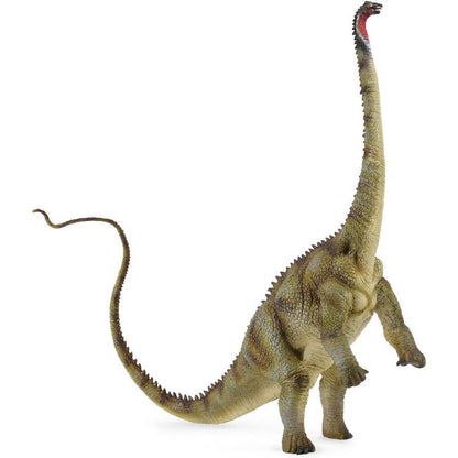 CollectA Diplodocus Dinosaur Toy Dinosaur Figure - Authentic Hand Painted & Paleontologist Approved Model , Green