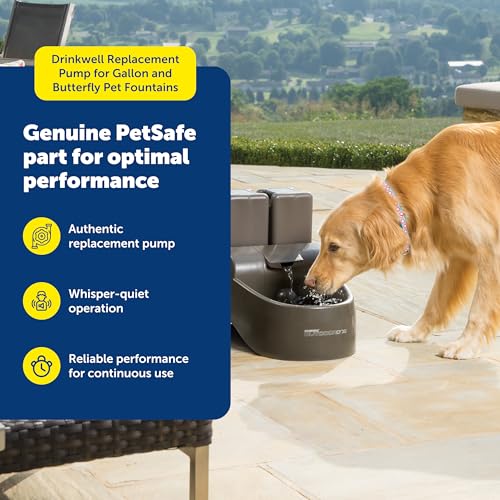 Buy now PetSafe Drinkwell Replacement Pump - Reliable OEM Replacement - Drinkwell Pump Accessory - Includes Power Adaptor - Silent Operation for a Calm Pet Environment - Easy to Clean at indiglob india