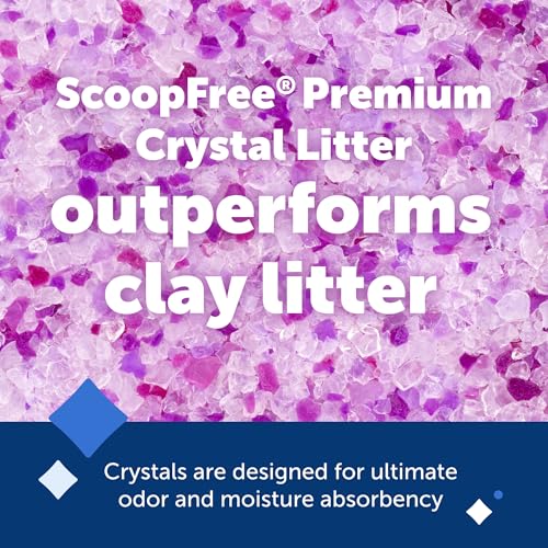 Buy now PetSafe ScoopFree Premium Natural Cat Litter - Eco-Friendly Long-Lasting Litter - High Absorbency & Low-Tracking Design - Non-Clumping Pebbles - 4.2 lb Bag - 2 Pack at indiglob india