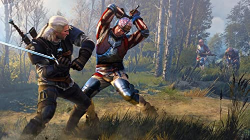 Buy now Witcher 3: Wild Hunt Complete Edition - Nintendo Switch at indiglob india