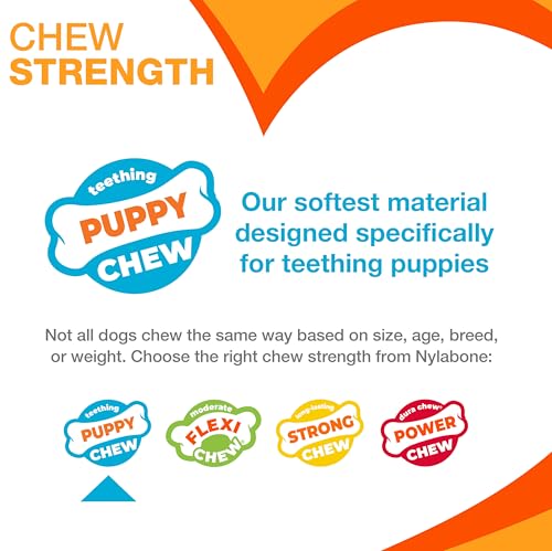 Buy now Nylabone Wishbone Puppy Chew Toy, Toys for Teething Puppies, Pink, Chicken Flavor, X-Small - Up to 15 lbs, 1 Count at indiglob india