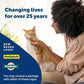 Buy now PetSafe ScoopFree Disposable Crystal Cat Litter Tray - Easy Cleaning Box - Refill Tray for Electric Litter Box - Fragrance Free - 4.3 lb Bags - 6 Pack at indiglob india