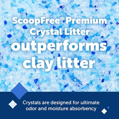 Buy now PetSafe ScoopFree Premium Natural Cat Litter - Eco-Friendly Long-Lasting Litter - High Absorbency & Low-Tracking Design - Non-Clumping Pebbles - 4.2 lb Bag - 2 Pack at indiglob india