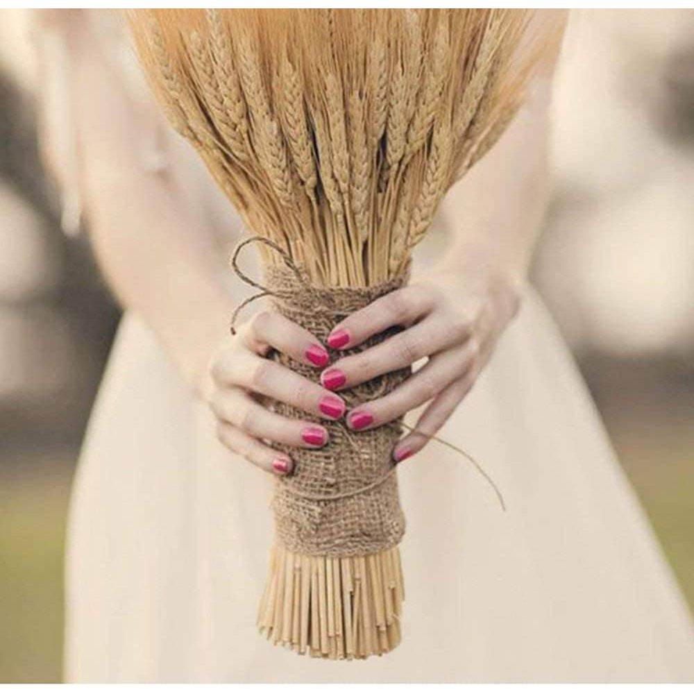100 Pcs Dry Wheat Grass Bouquet Natural Wheat Dried Grasses Bundle Dried Wheat Length 45cm (Wheat) - My Store