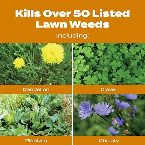 Buy now Scotts Turf Builder WinterGuard Fall Weed & Feed5, Weed Killer Plus Fall Fertilizer, 12,000 sq. ft., 33.84 lbs. at indiglob india