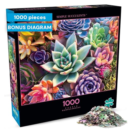 Buy now Buffalo Games - Simple Succulent - James Mertke - 1000 Piece Jigsaw Puzzle for Adults - Challenging Puzzle for Game Nights - Vibrant Plant Artwork - Finished Size 26.75 x 19.75 - Made in the USA at indiglob india