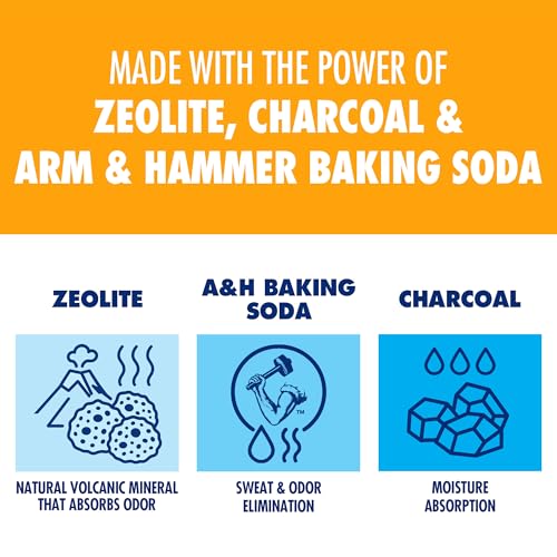 Buy now Arm & Hammer In-Shoe Odor Destroying Pouches, Shoe Deodorizer Insert for Reducing Odor and Absorbing Moisture, Smell Eliminator for All Footwear, Gym Bags and Work Boots (4 Pouches) at indiglob india