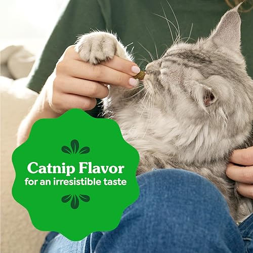 Buy now Greenies Feline Veterinarian-Recommended Adult Natural Dental Cat Treats, Catnip Flavor, 21 oz. Tub at indiglob india