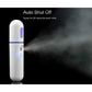 Nano Facial Mister, Portable Mini Cool Mist Facial Steamer Moisturizing Hydrating Face Sprayer for Skin Care, Makeup, Cleaning Pores, Eyelash Extensions, Summer Cool (White)