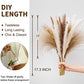 Buy now Seniny Pampas Grass, 80 Pcs Dried Pampas Grass Decor Tall 17", Natural Brown & White Pompous Grass | Bunny Tails Dried Flowers | Wheat Stalks | Reed for Boho Home Wedding Decor, Flower Arrangement at indiglob india