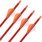 Archery 30Inch Carbon Arrow Practice Hunting Arrows with Removable Tips for Compound & Recurve Bow - My Store