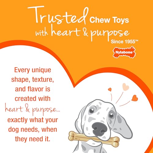 Buy now Nylabone Wishbone Puppy Chew Toy, Toys for Teething Puppies, Pink, Chicken Flavor, X-Small - Up to 15 lbs, 1 Count at indiglob india