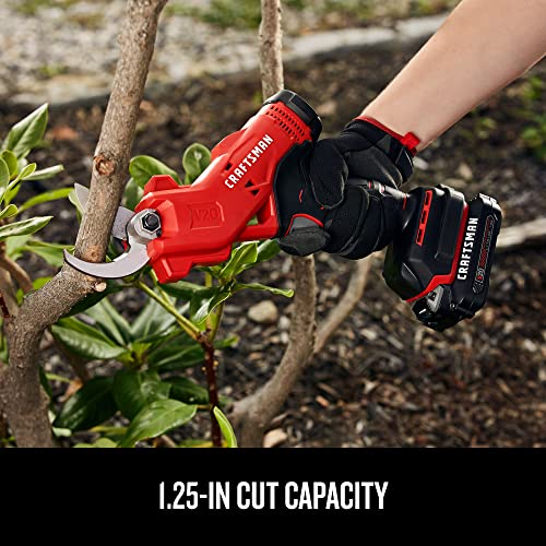 Buy now CRAFTSMAN 20V MAX Cordless Electric Pruner, Pruning Shears for Gardening, Battery & Charger Included, Electric Pruning Shears,Tree Pruners (CMCPR320C1) at indiglob india