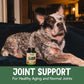 Buy now NOW Pet Health, Joint Support Supplement, Formulated for Cats & Dogs, NASC Certified, 90 Chewable Tablets at indiglob india