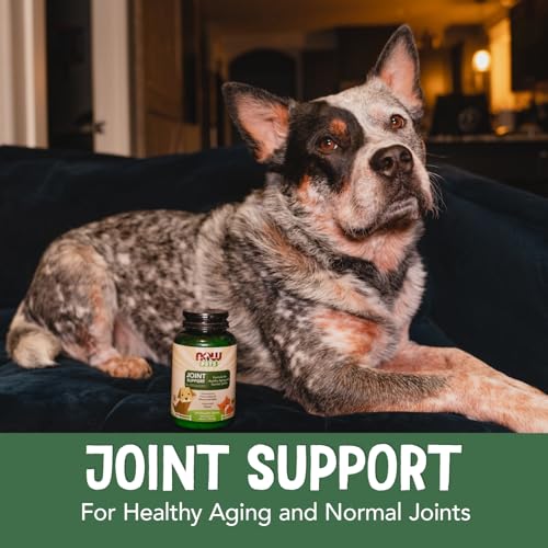 Buy now NOW Pet Health, Joint Support Supplement, Formulated for Cats & Dogs, NASC Certified, 90 Chewable Tablets at indiglob india
