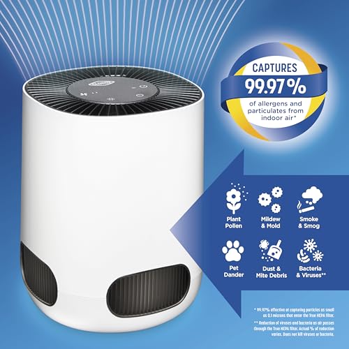 Buy now Clorox Air Purifiers for Bedroom Home, True HEPA Filter, Small Rooms Up to 200 Sq Ft, Removes 99.9% of Mold, Viruses, Wildfire Smoke, Allergens, Pet Allergies, Dust, AUTO Mode, Whisper Quiet at indiglob india