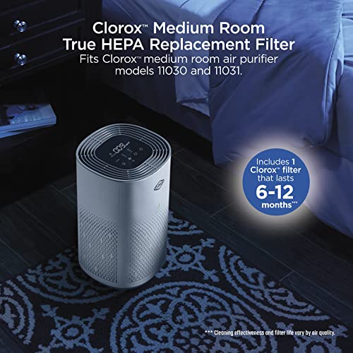 Buy now Clorox Medium Room Air Purifier True HEPA Replacement Filter, 1,000 Sq. Ft. Capacity, Removes 99.97% of Allergens up to 0.1 Micron, Compatible with 11030 & 11031, 1 Count (12030) at indiglob india