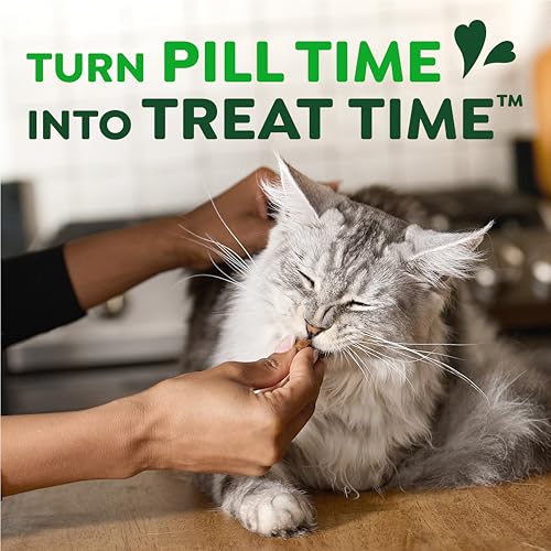 Buy now Greenies Feline Pill Pockets for Cats Soft Cat Treats, Chicken Flavor, 1.6 oz. Pouch, 45 Count at indiglob india