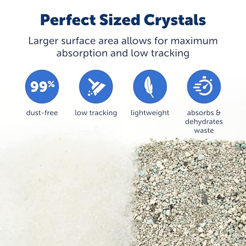 Buy now PetSafe ScoopFree Premium Natural Cat Litter - Eco-Friendly Long-Lasting Litter - High Absorbency & Low-Tracking Design - Non-Clumping Pebbles - 4.2 lb Bag - 2 Pack at indiglob india