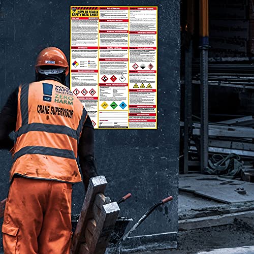 Buy now How To Read A Safety Data Sheet (SDS/MSDS) Poster, 24 x 33 Inch, UV Coated Paper (Poster) at indiglob india