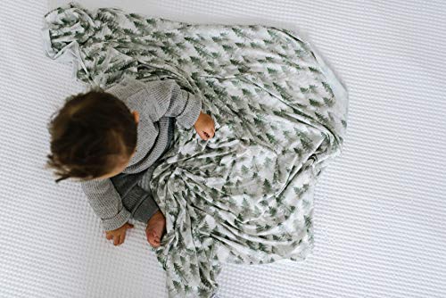 Buy now Copper Pearl Large Premium Knit Baby Swaddle Receiving Blanket Evergreen at indiglob india