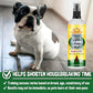 Buy now Bodhi Dog Potty Training Spray - Puppy & Dog Training Aid for Indoor & Outdoor Attractant Spray Use - Encourages Proper Dog Pee Here Habits - Safe for Pets & Home - Made in The USA (8 Fl Oz) at indiglob india