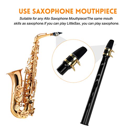 Buy now Pocket Saxophone Kit Mini Sax Portable Woodwind Instrument with Lid, Mouthpiece, Carrying Bag, Fingering Charts at indiglob india