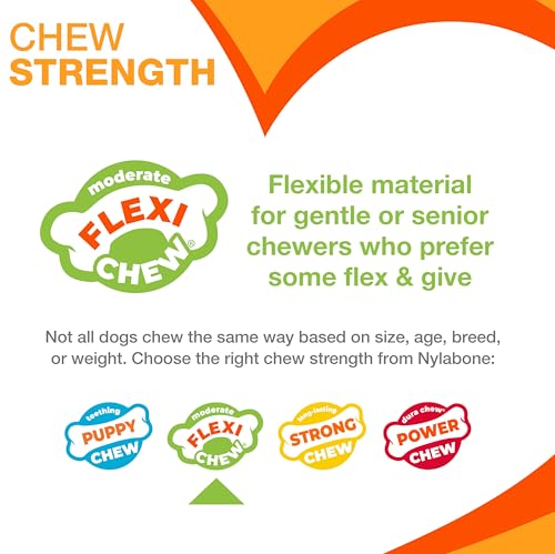 Buy now Nylabone Original Bone Flexi Chew Toy for Dogs, Flexible Dog Toys for Moderate Chewers, Chicken Flavor, Large/Giant, 1 Count at indiglob india