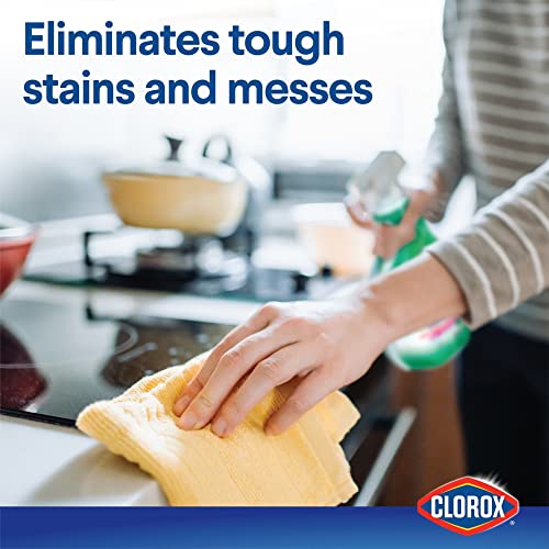 Buy now Clorox® Clean-Up® All Purpose Cleaner with Bleach, Spray Bottle, Rain Clean, 32 Fluid Ounces at indiglob india