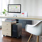 Buy now HumanCentric Adjustable PC Stand for Floor, Computer Tower, Adjustable PC Holder, CPU Rolling Cart, for Gaming & Desktop Computers, Under Desk, Fits Computer Cases 4.7" to 8.2" up to 22lbs at indiglob india