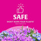 Buy now Scotts Super Bloom Water Soluble Plant Food, 2 lb - NPK 12-55-6 - Fertilizer for Outdoor Flowers, Fruiting Plants, Containers and Bed Areas - Feeds Plants Instantly at indiglob india